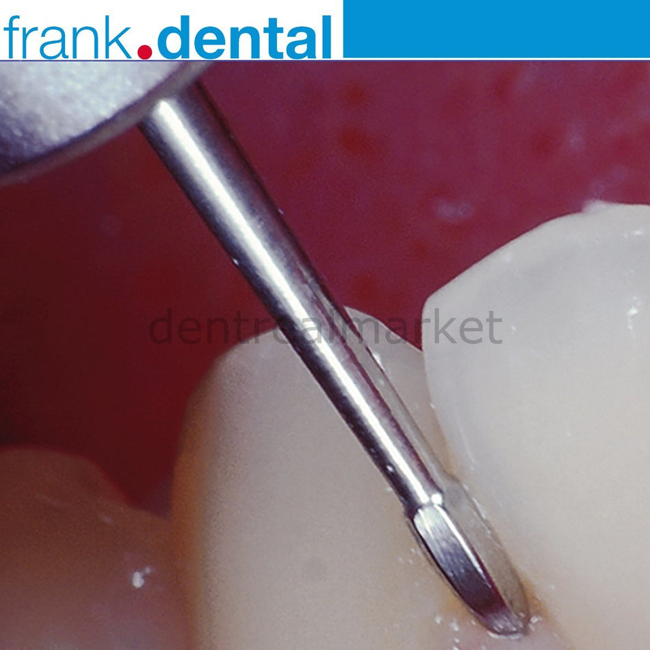 DentrealStore - Frank Dental Perio Bur 758