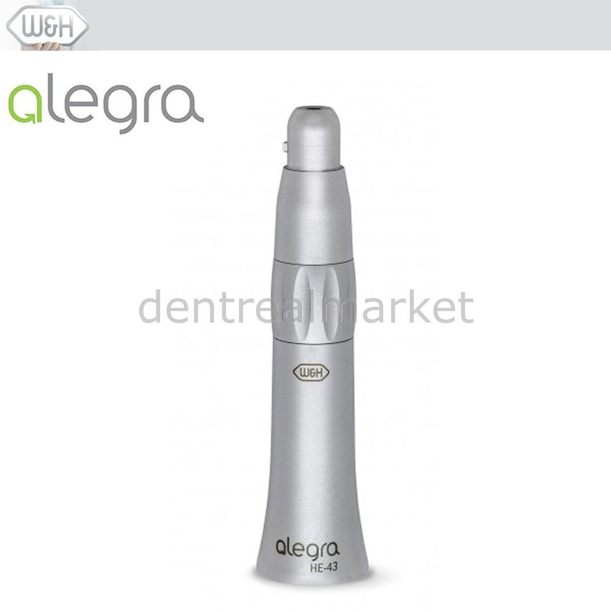 DentrealStore - W&H Dental Alegra Steel Bearing Handpiece - HE-43