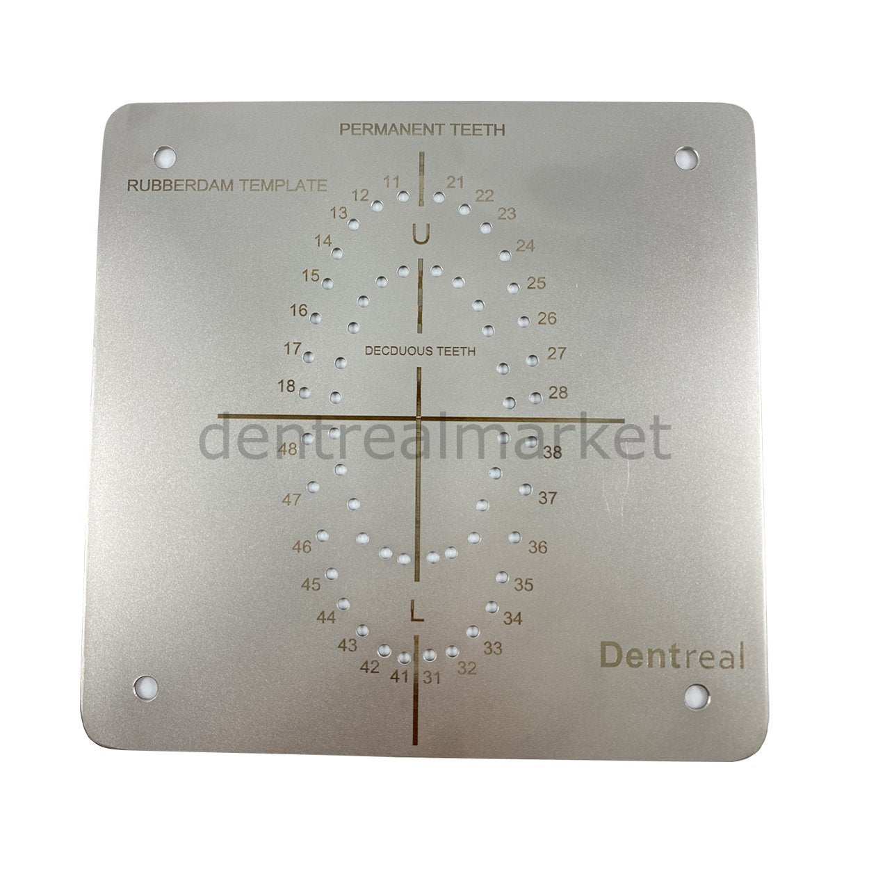 DentrealStore - Dentreal Drm Rubberdam Clamp and Tool Set + Rubberdam Template