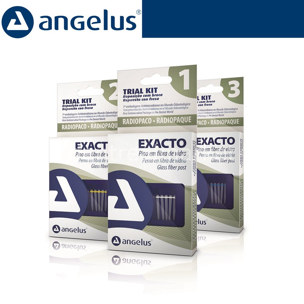 DentrealStore - Angelus Exacto Translucido Fiber Post Trial Kit