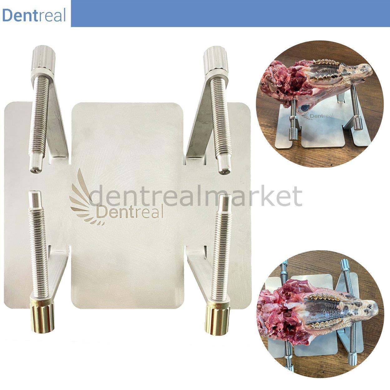 DentrealStore - Dentreal Surgical Training Bench - Surgical Vise - Stainless Steel Surgical Holder