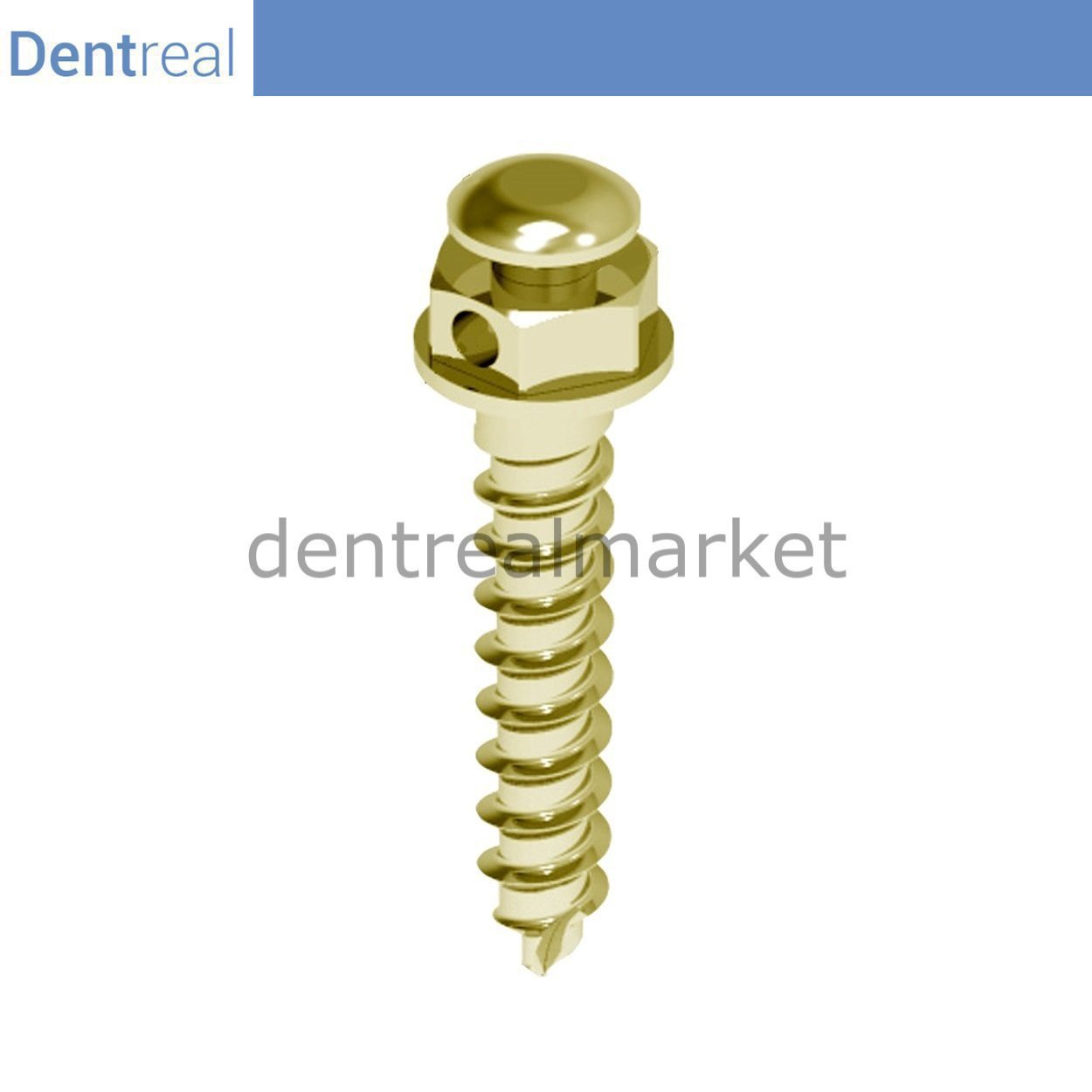 DentrealStore - Dentreal Orthofix Titanyum Orthodontic Mini Screw Refil - Screw 2.0 mm - 5 Pcs