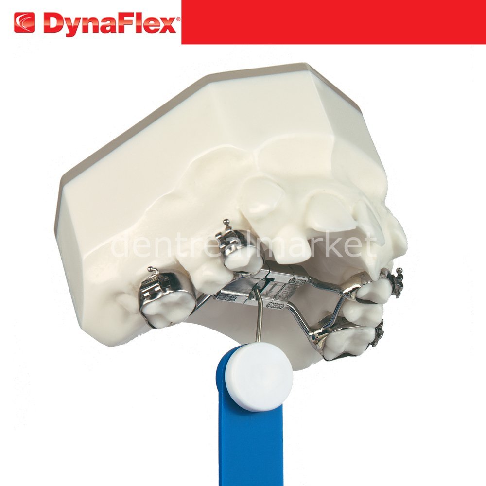 DentrealStore - Dynaflex Safety Keys