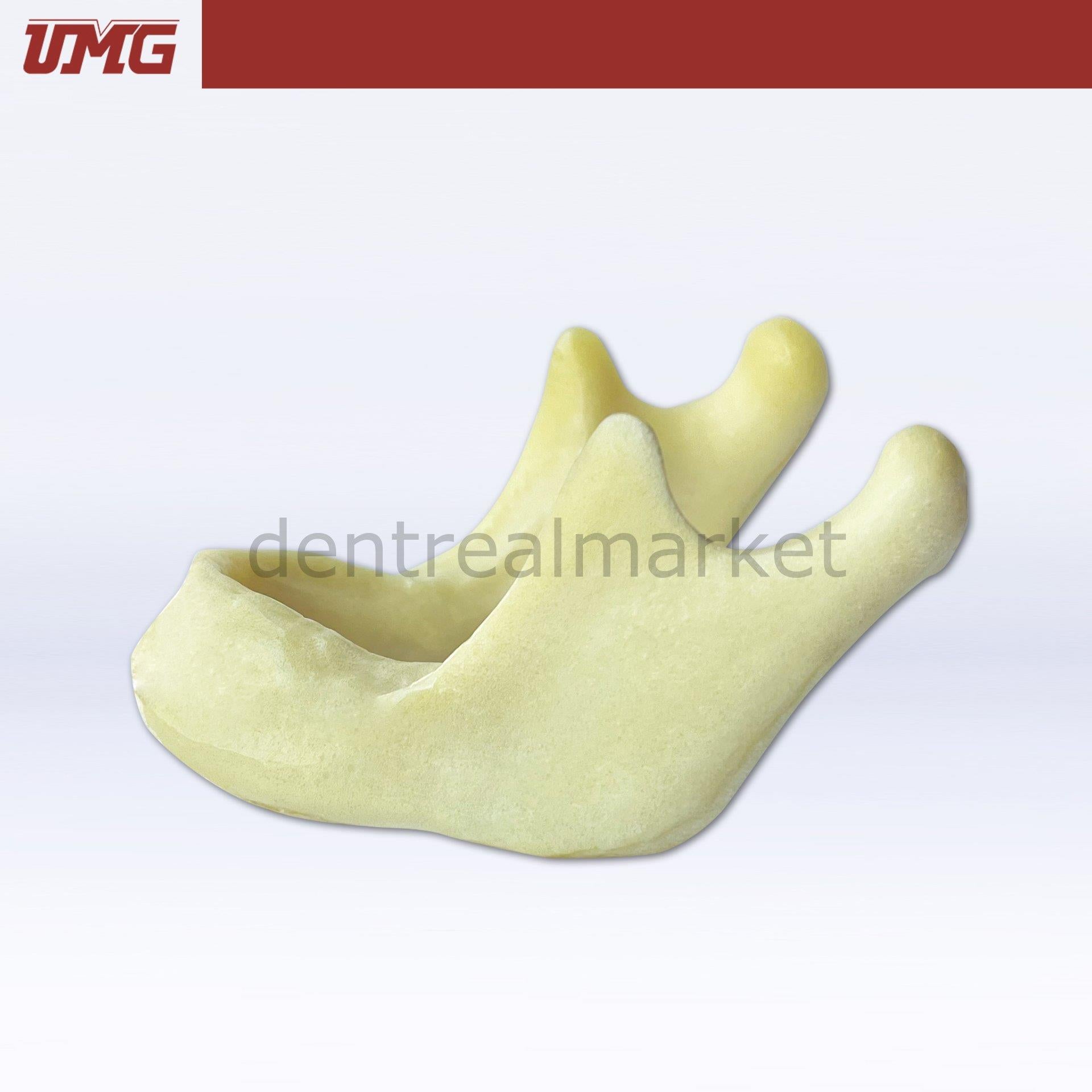 DentrealStore - Umg Dental Umg Model Drilling Practice Jaw Model - UM-Z2022