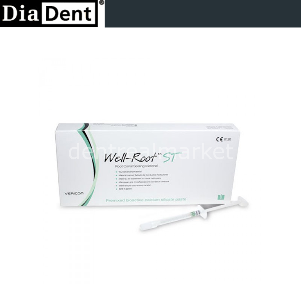 DentrealStore - Diadent Well Root St Root Canal Repair Paste - Bioceramic Paste